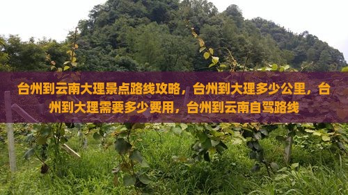 台州到云南大理景点
