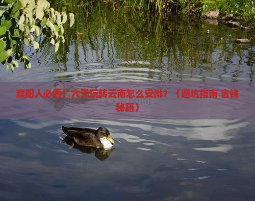 濮阳到云南六日游