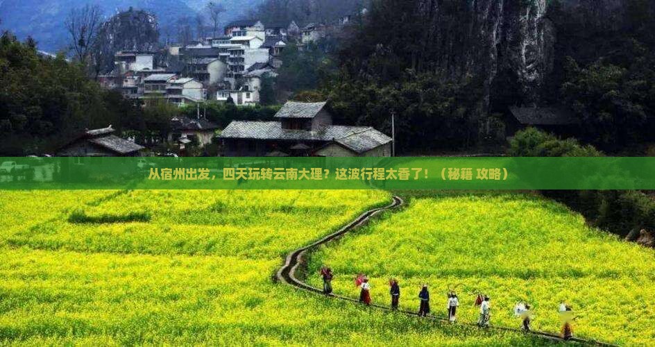 宿州到云南大理四日游