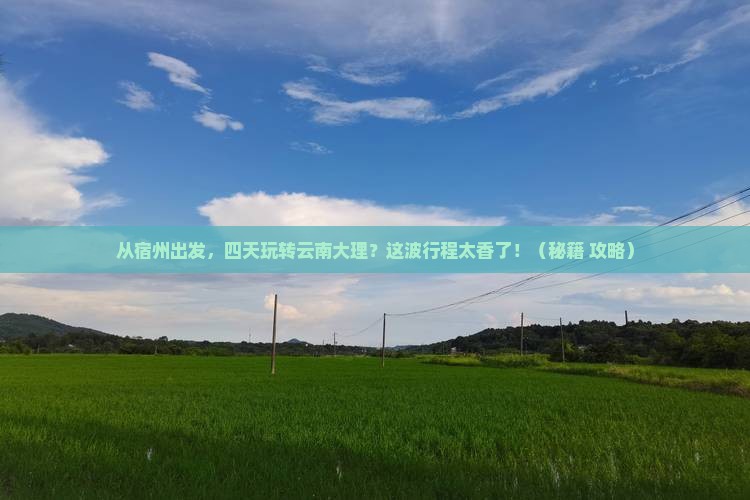 宿州到云南大理四日游