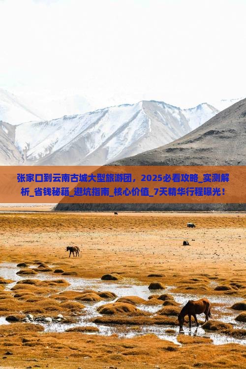 张家口到云南古城大型旅游团