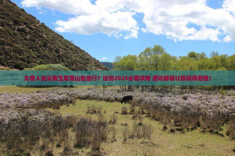 太原去云南玉龙雪山自由行