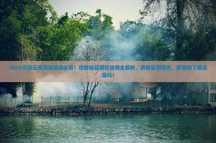 元旦到云南洱海旅游