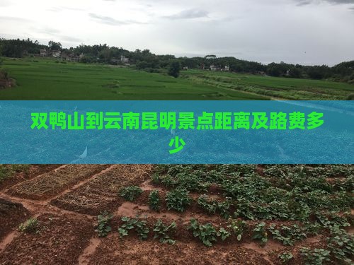 双鸭山到云南昆明景点