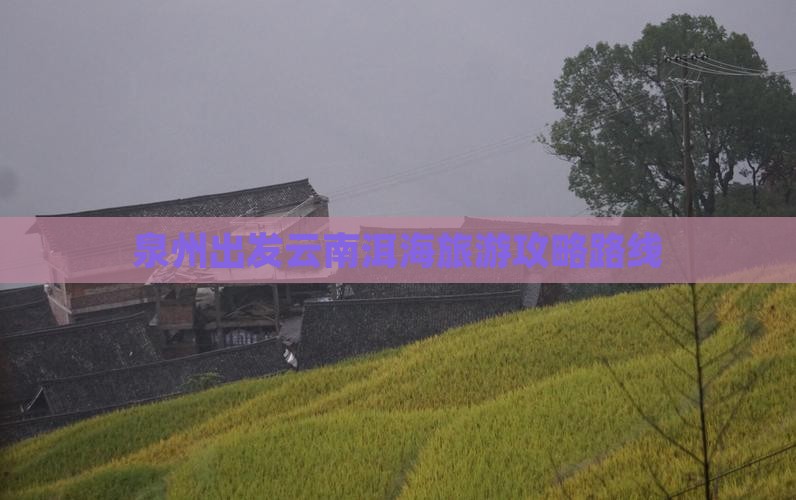 泉州到云南洱海哪里玩