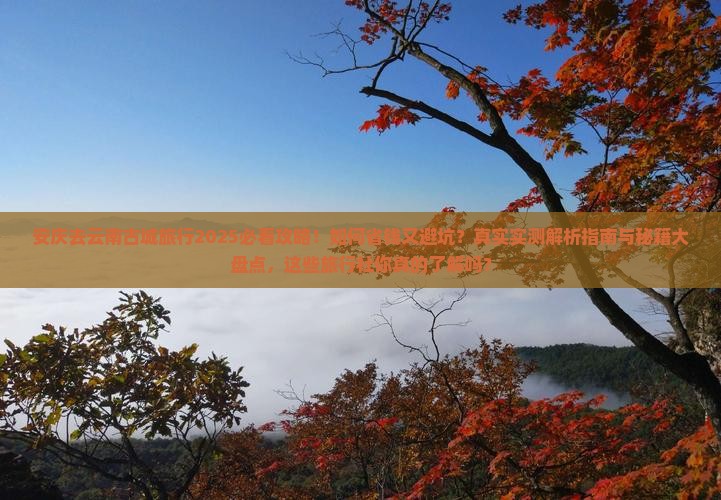 安庆去云南古城旅行社