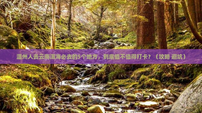 温州去云南洱海必去地