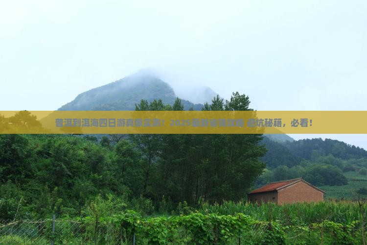 普洱到云南洱海四日游
