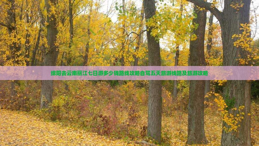 绵阳去云南丽江七日游