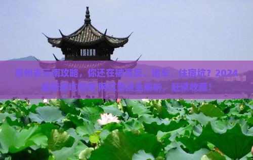 惠州去云南攻略