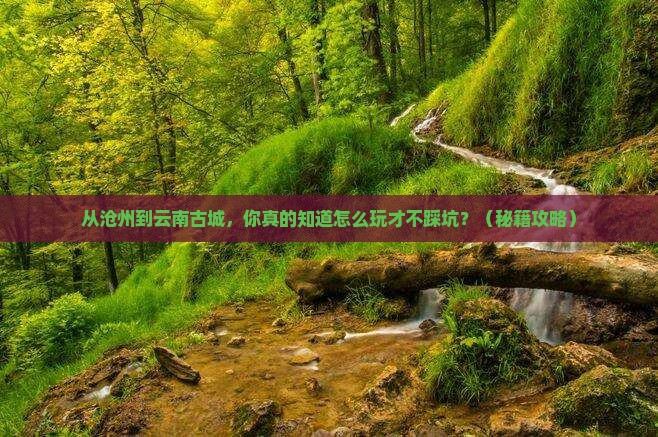 沧州到云南古城景点