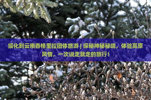 绥化到云南香格里拉团体旅游