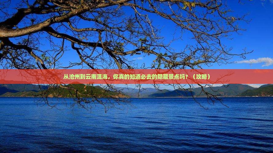 沧州到云南洱海必去地