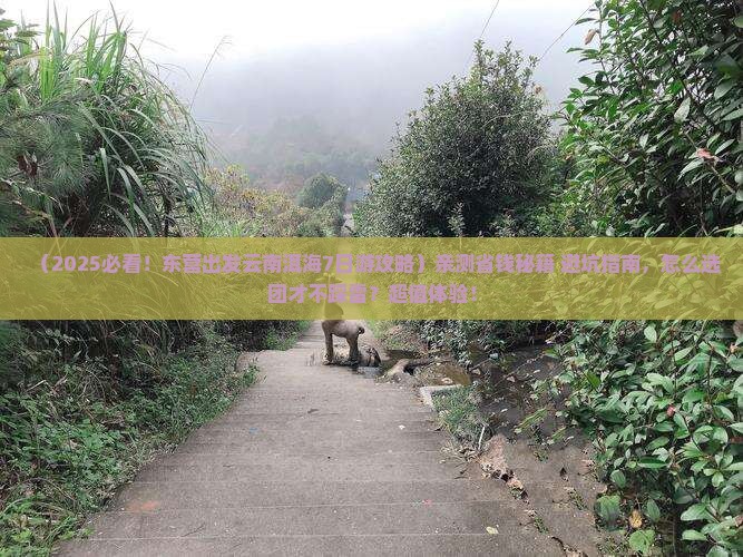 东营去云南洱海大型旅游团