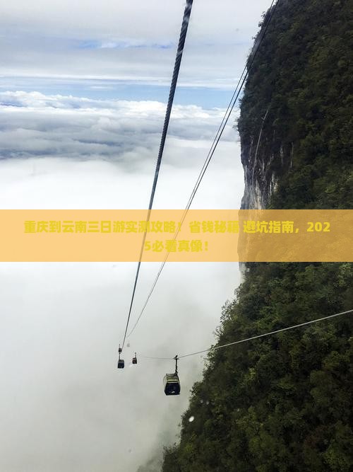 重庆到云南三日游