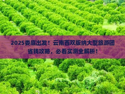 娄底到云南西双版纳大型旅游团