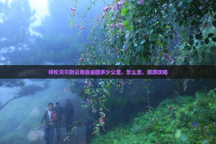 呼伦贝尔到云南自由团
