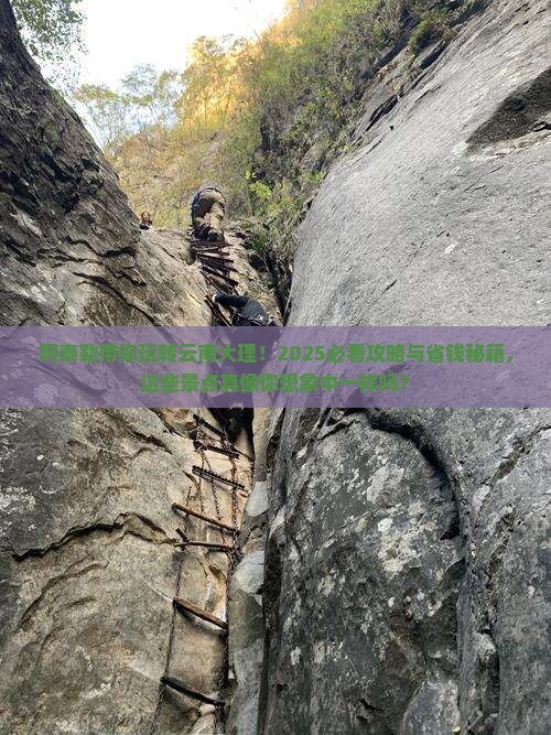 阿泰勒到云南大理大型旅游团