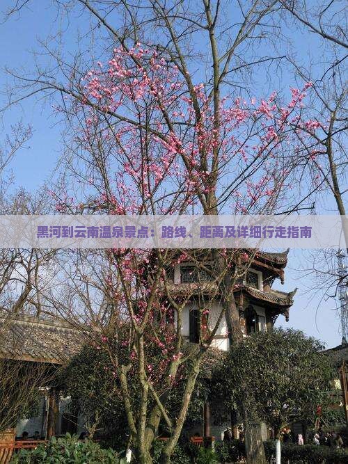 黑河到云南温泉景点：路线、距离及详细行走指南