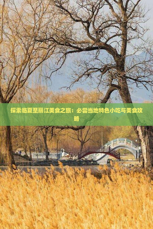 探索临夏至丽江美食之旅：必尝当地特色小吃与美食攻略