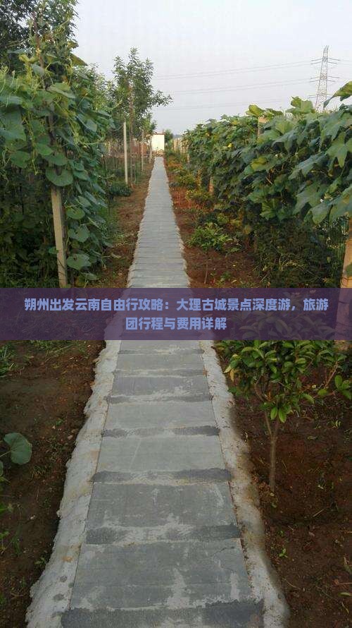 朔州出发云南自由行攻略：大理古城景点深度游，旅游团行程与费用详解