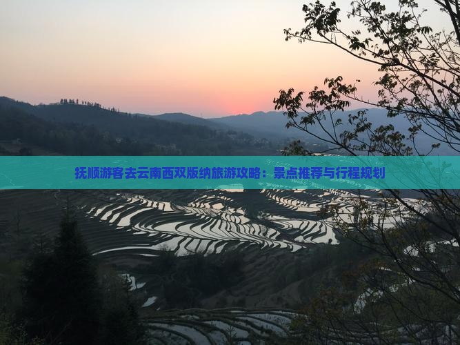 抚顺游客去云南西双版纳旅游攻略：景点推荐与行程规划