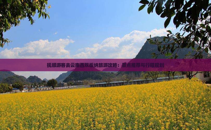 抚顺游客去云南西双版纳旅游攻略：景点推荐与行程规划
