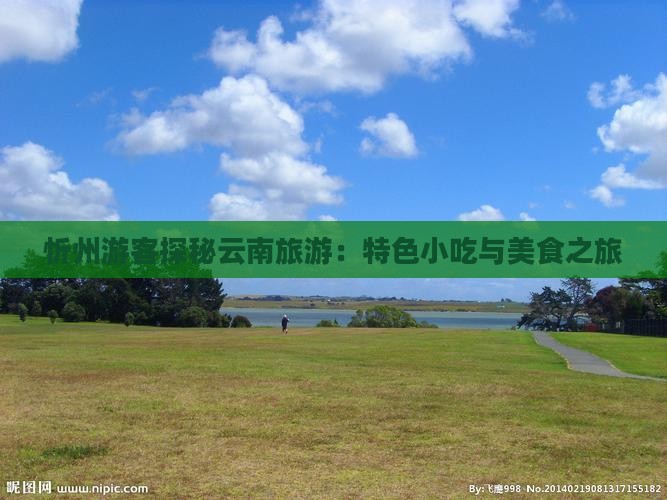 忻州游客探秘云南旅游：特色小吃与美食之旅