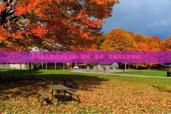 泸州到云南旅游全攻略：路线、景点、交通与注意事项