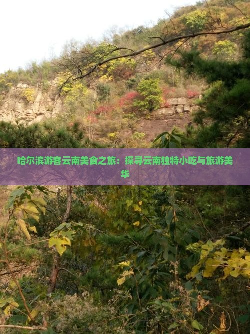 哈尔滨游客云南美食之旅：探寻云南独特小吃与旅游美华