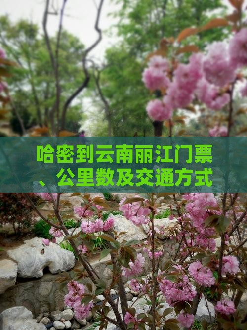 哈密到云南丽江门票、公里数及交通方式