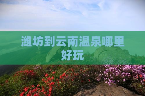 潍坊到云南温泉哪里好玩