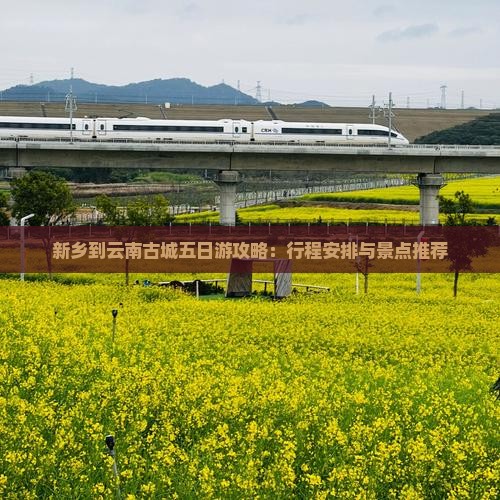 新乡到云南古城五日游攻略：行程安排与景点推荐