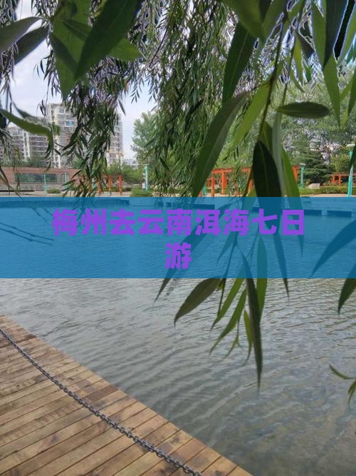 梅州去云南洱海七日游