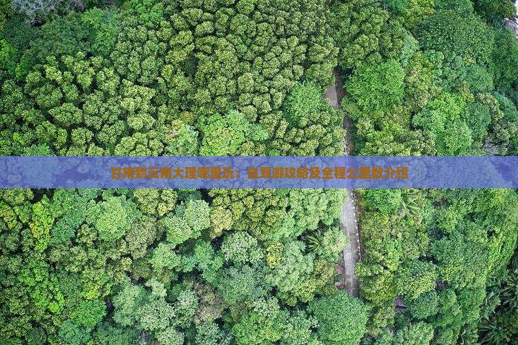 甘南到云南大理哪里玩：自驾游攻略及全程公里数介绍