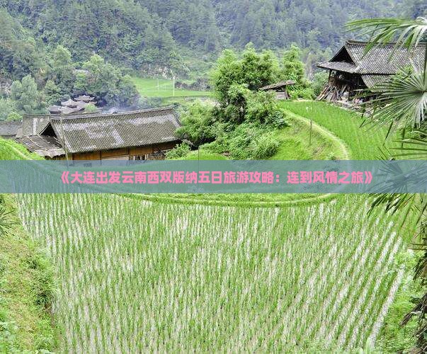 《大连出发云南西双版纳五日旅游攻略：连到风情之旅》