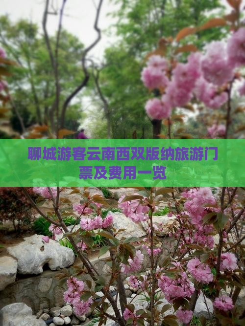 聊城游客云南西双版纳旅游门票及费用一览