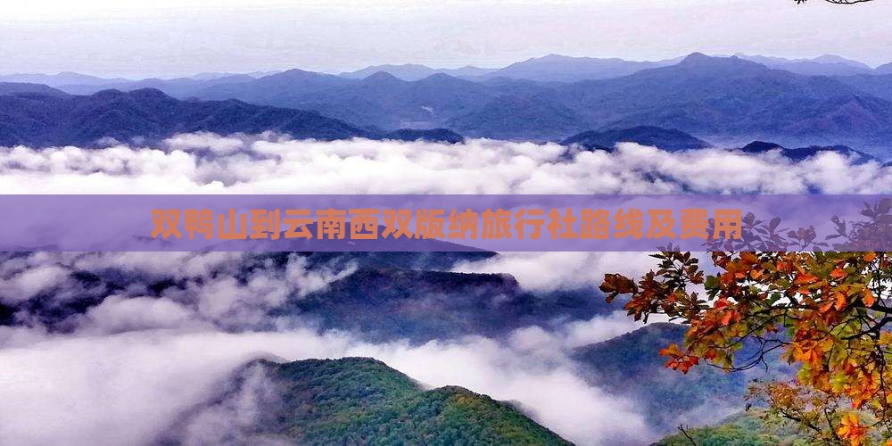 双鸭山到云南西双版纳旅行社路线及费用