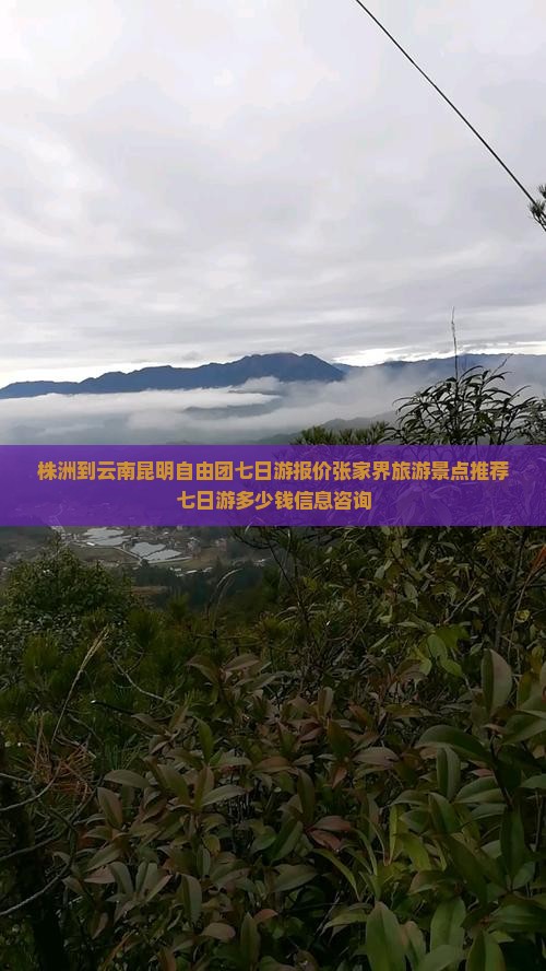 株洲到云南昆明自由团七日游报价张家界旅游景点推荐七日游多少钱信息咨询