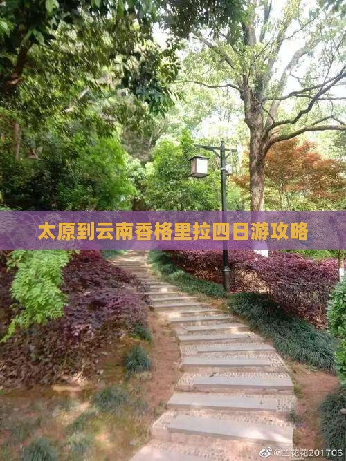 太原到云南香格里拉四日游攻略