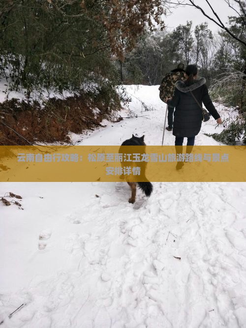 云南自由行攻略：松原至丽江玉龙雪山旅游路线与景点安排详情