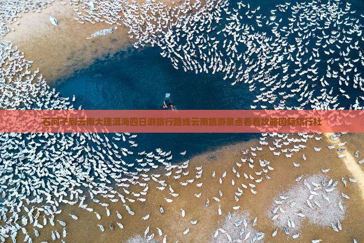 石河子到云南大理洱海四日游旅行路线云南旅游景点看看攻略国际旅行社