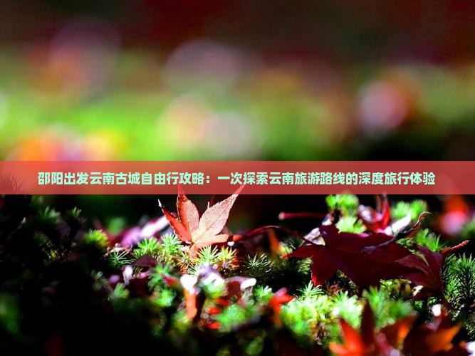 邵阳出发云南古城自由行攻略：一次探索云南旅游路线的深度旅行体验