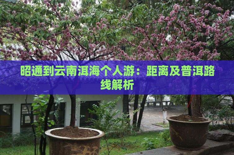 昭通到云南洱海个人游：距离及普洱路线解析