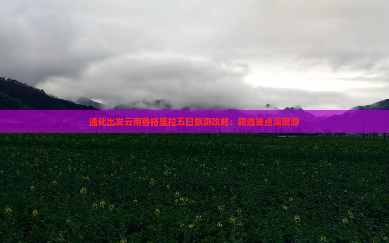通化出发云南香格里拉五日旅游攻略：精选景点深度游