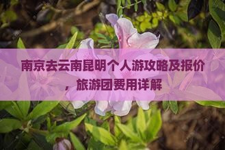 南京去云南昆明个人游攻略及报价，旅游团费用详解