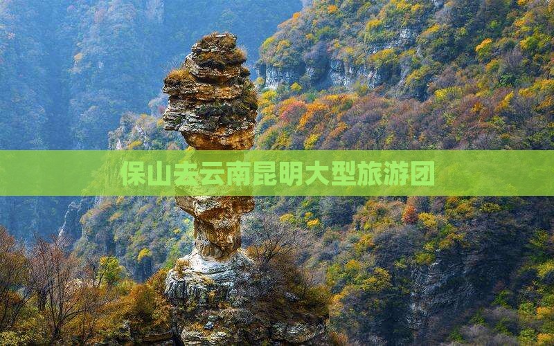 保山去云南昆明大型旅游团