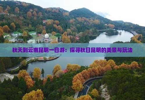 秋天到云南昆明一日游：探寻秋日昆明的美景与玩法