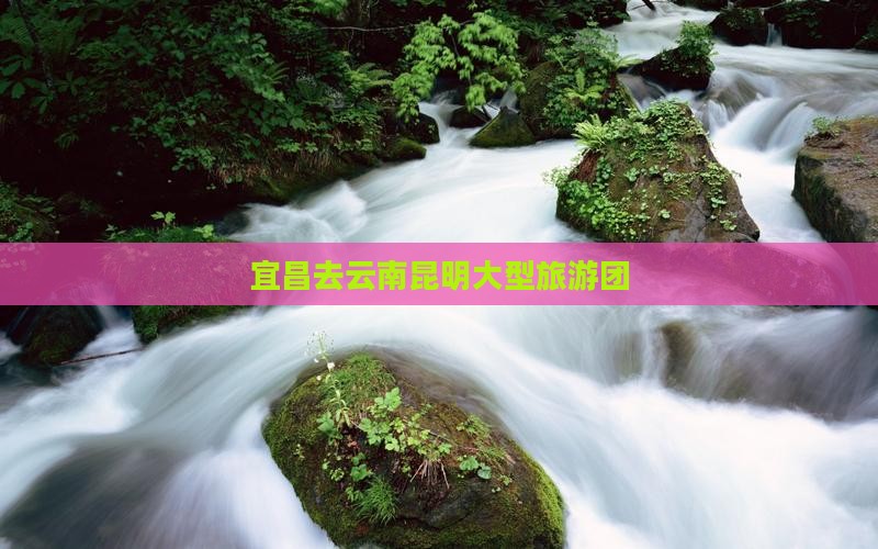 宜昌去云南昆明大型旅游团