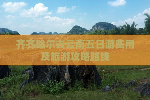 齐齐哈尔去云南五日游费用及旅游攻略路线